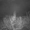 Webcam_20210113-053000