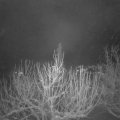Webcam_20210113-054500