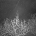 Webcam_20210113-061500