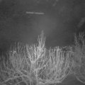 Webcam_20210113-063000