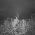 Webcam_20210113-064500