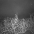 Webcam_20210113-070000