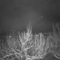 Webcam_20210113-073000