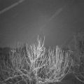 Webcam_20210113-081500