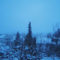 Webcam_20210113-090000