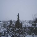 Webcam_20210113-124500