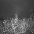 Webcam_20210113-184500