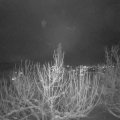 Webcam_20210113-190000