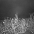Webcam_20210113-200000