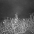 Webcam_20210113-201500