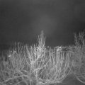 Webcam_20210113-203000