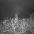Webcam_20210113-204500