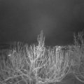 Webcam_20210113-211500