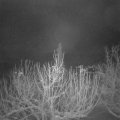 Webcam_20210114-051500