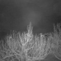Webcam_20210114-053000