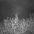 Webcam_20210114-060000