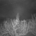Webcam_20210114-064500