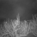 Webcam_20210114-071500