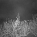 Webcam_20210114-074500