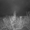 Webcam_20210114-190000