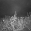 Webcam_20210114-191500