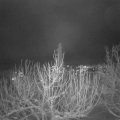 Webcam_20210114-193000