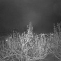 Webcam_20210114-194500