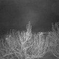 Webcam_20210114-211500