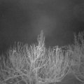 Webcam_20210115-060000