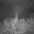 Webcam_20210115-061500