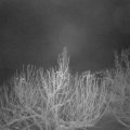 Webcam_20210115-070000