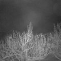 Webcam_20210115-071500