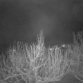 Webcam_20210115-073000
