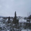 Webcam_20210115-114500