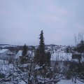 Webcam_20210115-173000