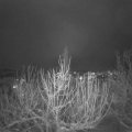 Webcam_20210115-184500
