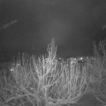 Webcam_20210115-191500