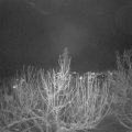 Webcam_20210115-201500