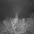 Webcam_20210115-213000