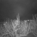 Webcam_20210115-214500