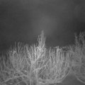 Webcam_20210116-051500