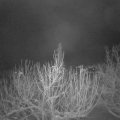 Webcam_20210116-064500