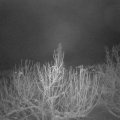 Webcam_20210116-071500