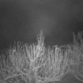 Webcam_20210116-074500
