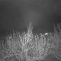 Webcam_20210116-080000