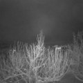 Webcam_20210116-081500