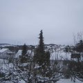 Webcam_20210116-111500