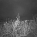 Webcam_20210116-184500