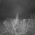 Webcam_20210116-193000