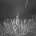 Webcam_20210116-194500